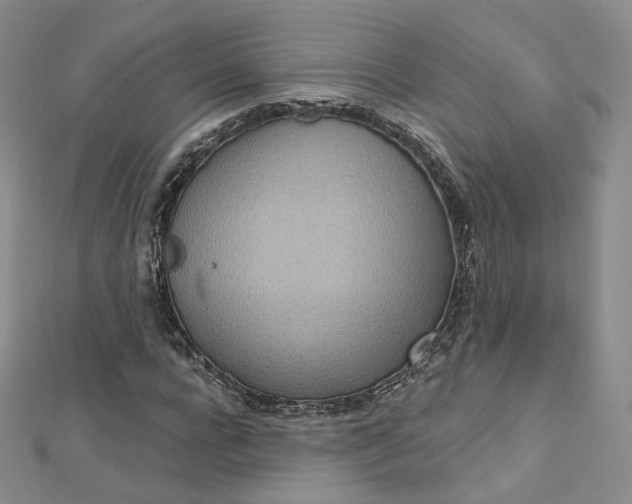X0000112760920200909031544