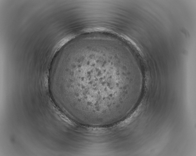 X0000112760921200909031544