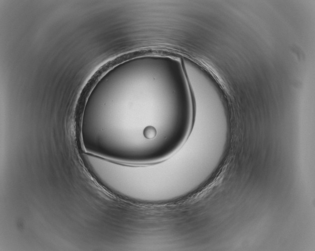 X0000112760924200909031544
