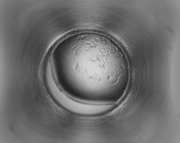 X0000112760925200909031544