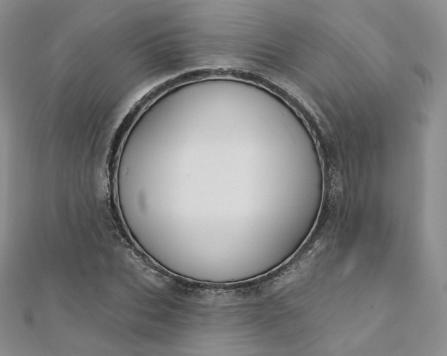 X0000112760927200909031544