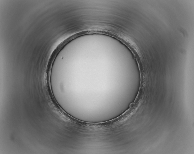 X0000112760928200909031544