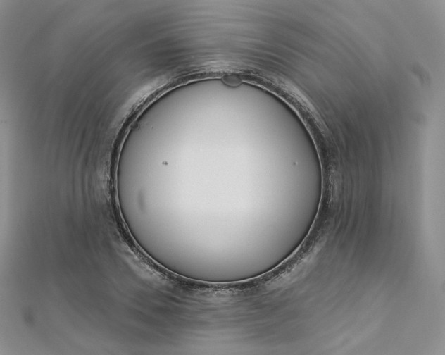 X0000112760930200909031544