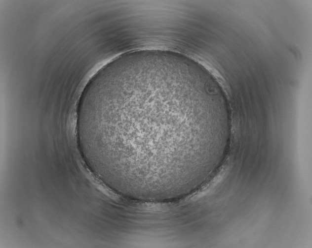 X0000112760933200909031544