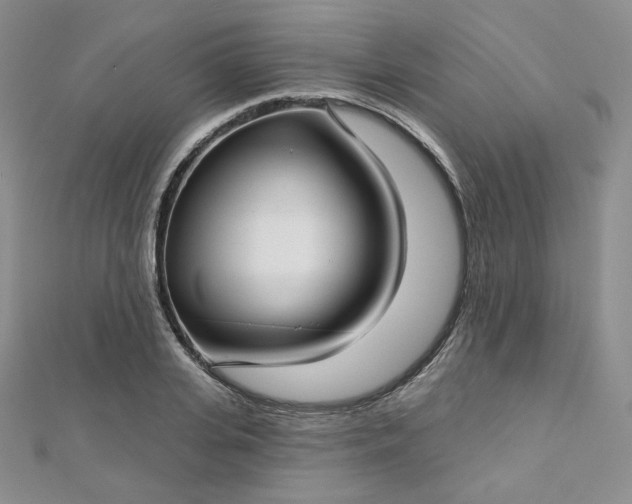 X0000112760935200909031544
