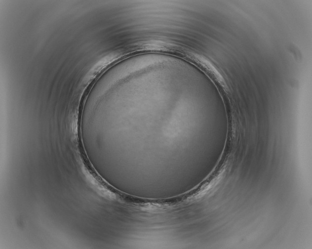 X0000112760938200909031544