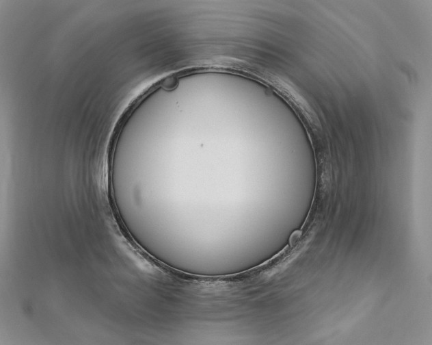 X0000112760940200909031544