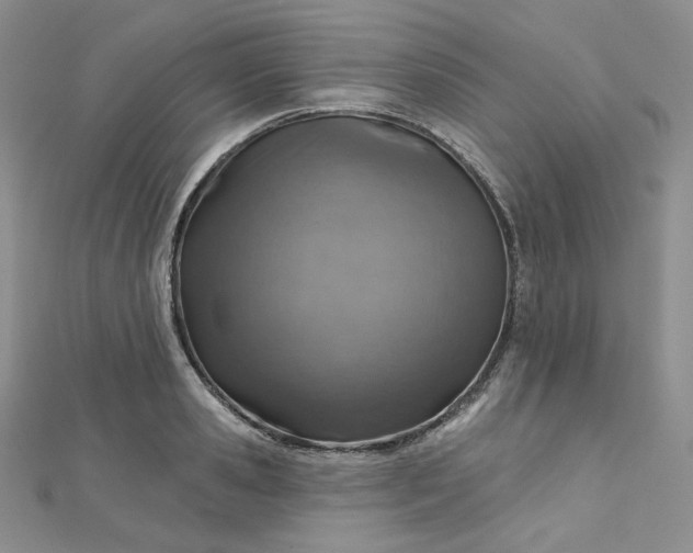 X0000112760941200909031544