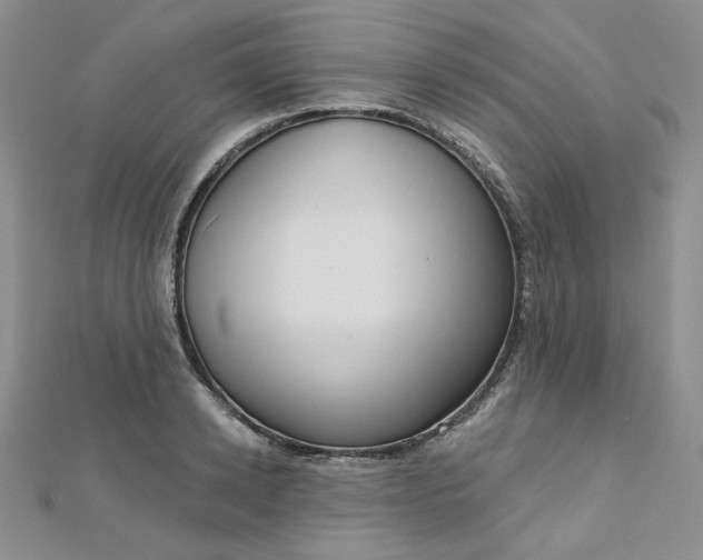 X0000112760942200909031544