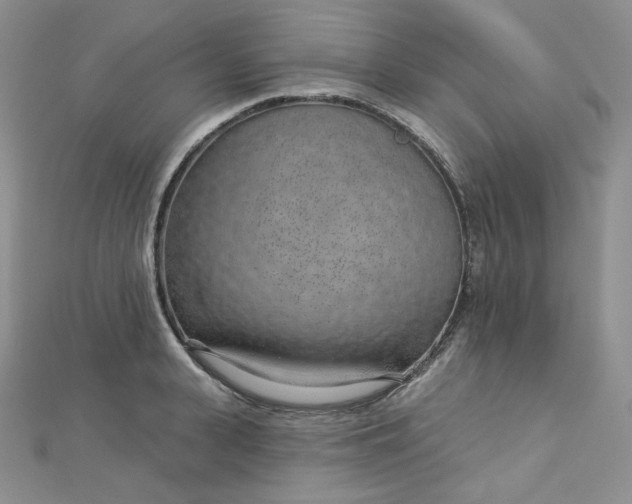 X0000112760943200909031544