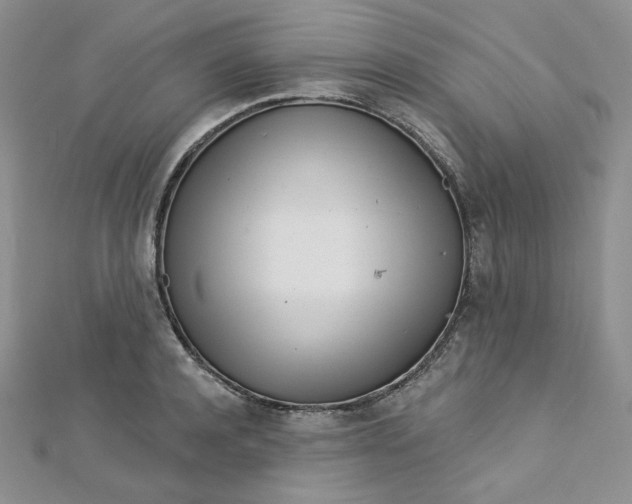 X0000112760944200909031544