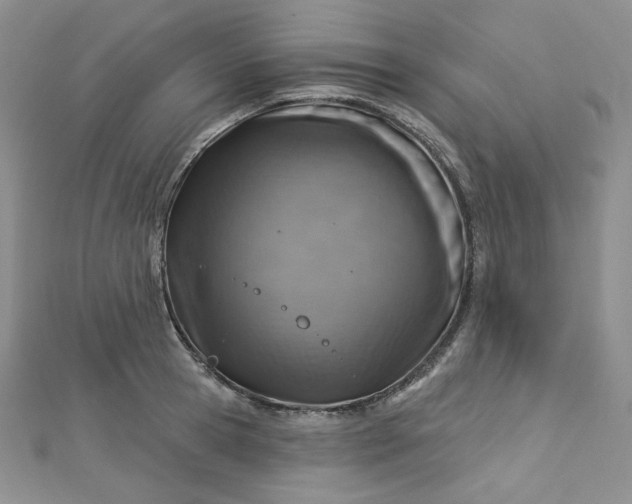 X0000112760945200909031544