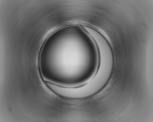 X0000112760946200909031544