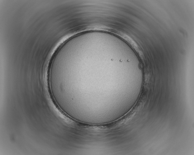 X0000112760947200909031544