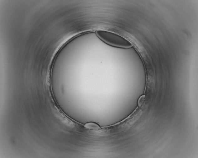 X0000112760948200909031544