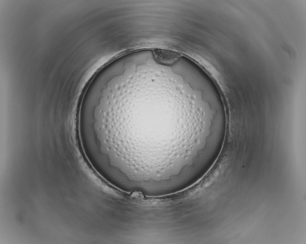 X0000112760949200909031544