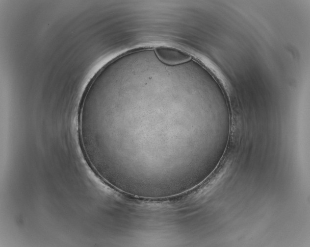 X0000112760951200909031544