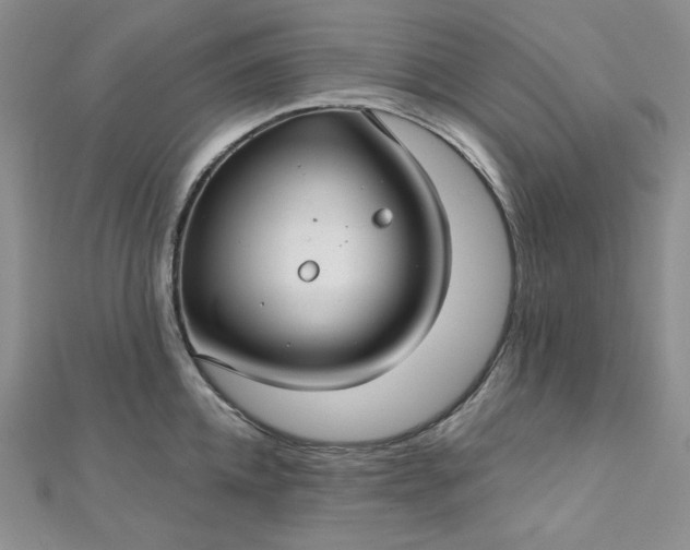 X0000112760952200909031544
