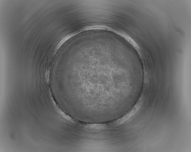 X0000112760953200909031544