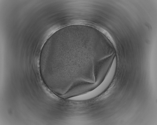 X0000112760954200909031544