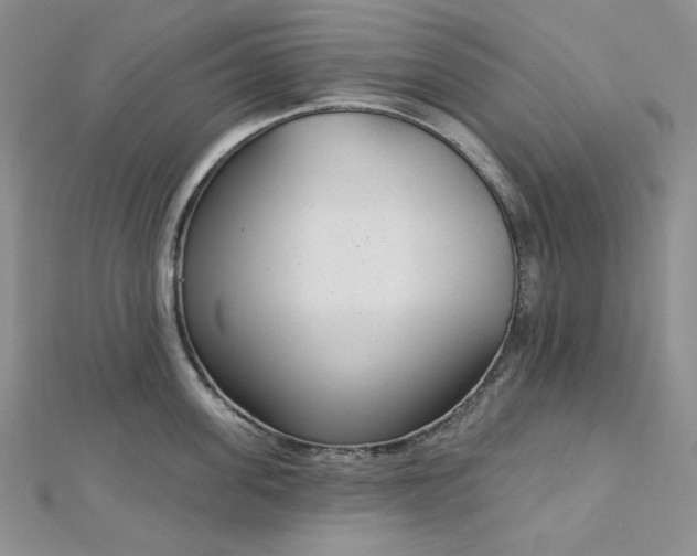 X0000112760955200909031545