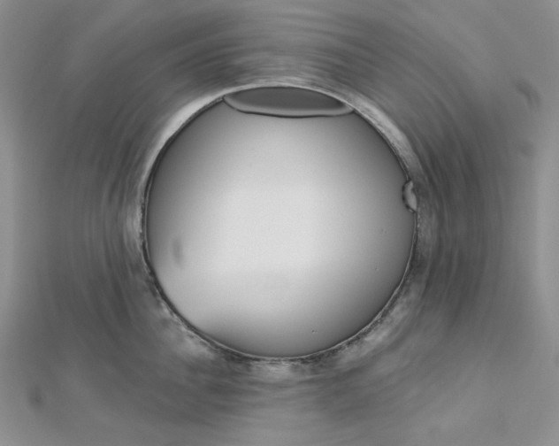 X0000112760956200909031545
