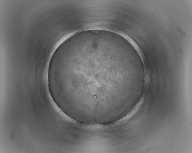 X0000112760957200909031545