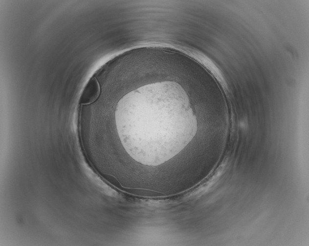X0000112760958200909031545