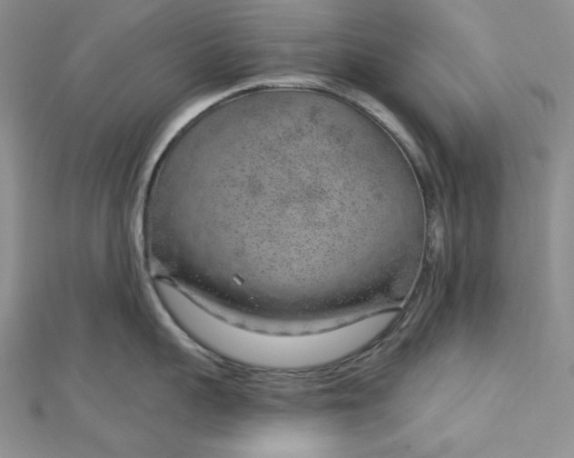 X0000112760959200909031545