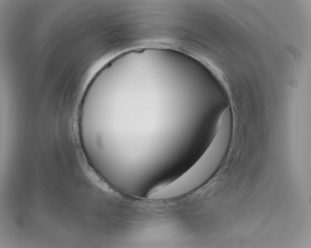 X0000112760960200909031545