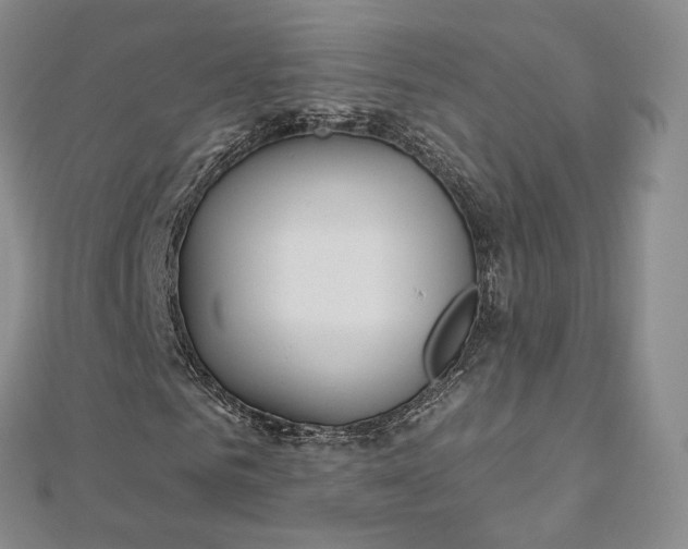 X0000112760961200909031544