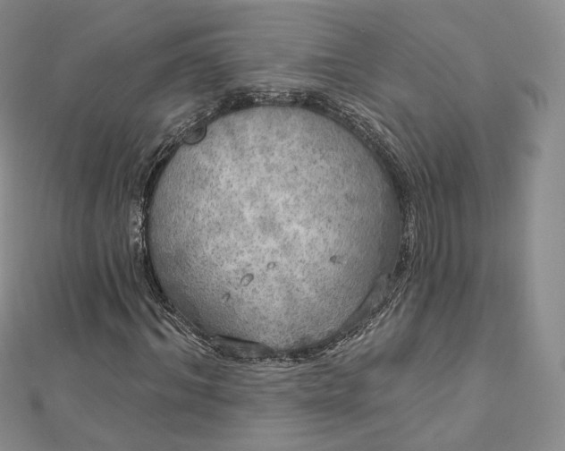 X0000112760964200909031544