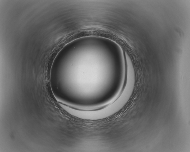 X0000112760965200909031544