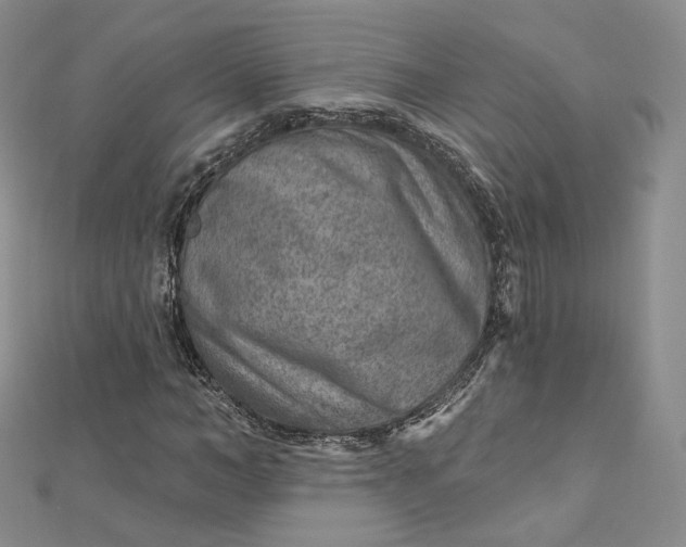 X0000112760966200909031544