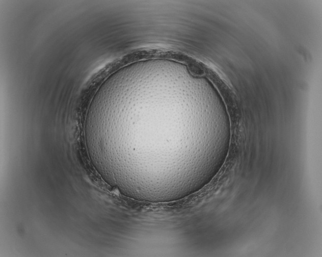 X0000112760967200909031544