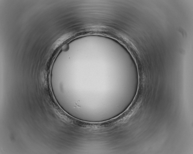 X0000112760970200909031544