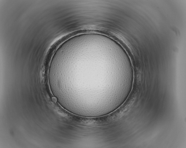 X0000112760971200909031544