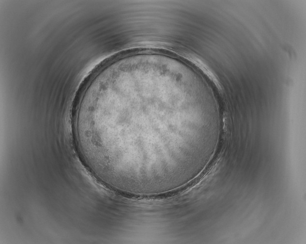 X0000112760972200909031544
