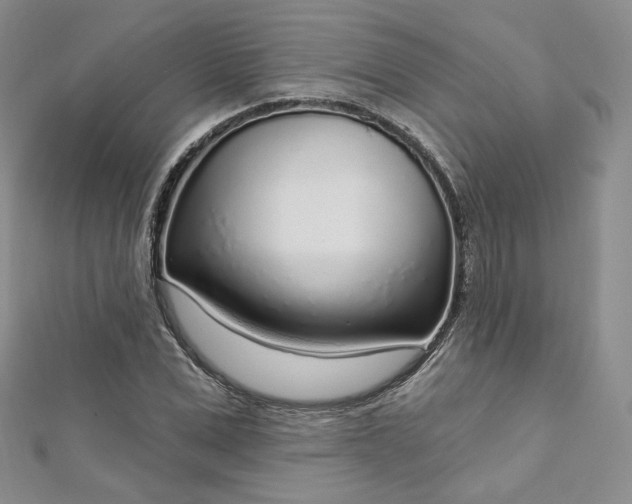 X0000112760975200909031544