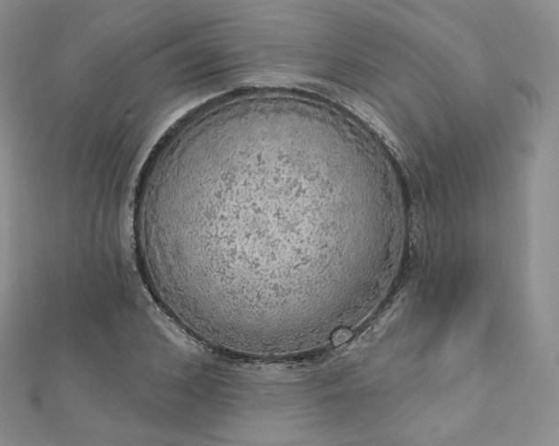 X0000112760976200909031544