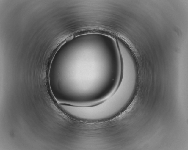 X0000112760977200909031544