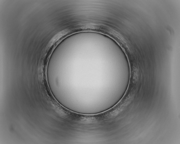 X0000112760978200909031544