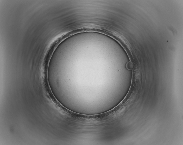X0000112760979200909031544