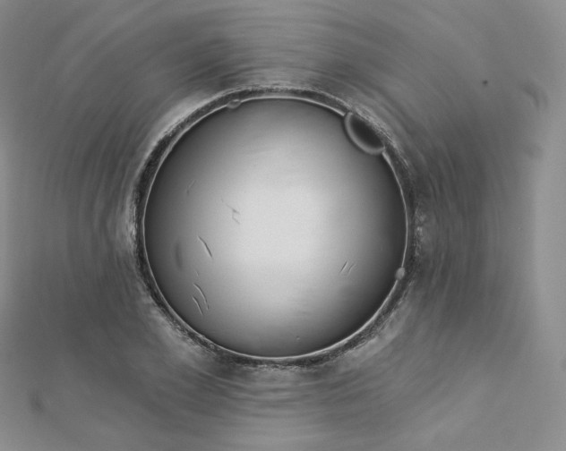 X0000112760981200909031544