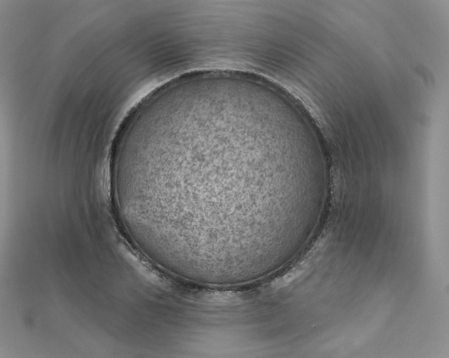 X0000112760982200909031544