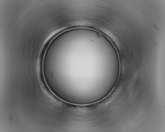 X0000112760983200909031544