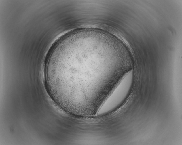 X0000112760984200909031544