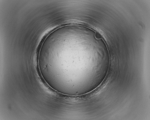 X0000112760987200909031544