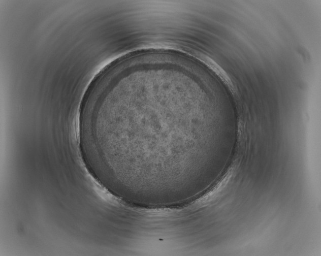 X0000112760988200909031544