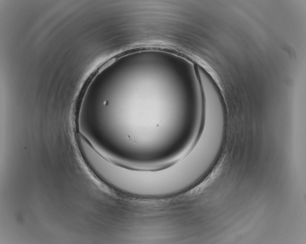 X0000112760989200909031544